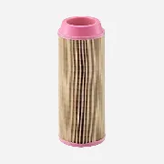 Mann Filter C14200 lọc gió thô