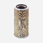 Mann Filter C20325/2 lọc gió thô