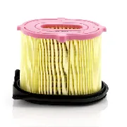 Mann Filter C23220 