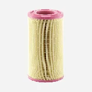 Mann Filter C261005 