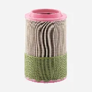 Mann Filter C271020 lọc gió thô