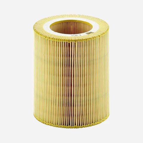 Mann Filter C1250 lọc gió thô